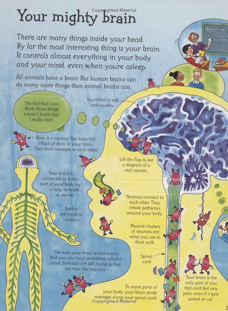 See Inside Your Head