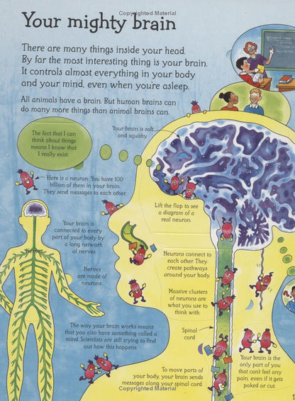 See Inside Your Head | 脳の不思議を英語で発見
