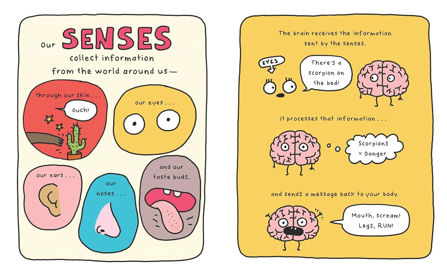 This is my Brain! A book on neurodiversity
