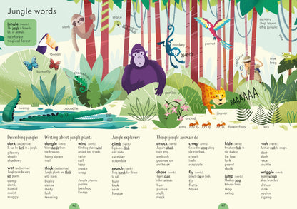 Junior Illustrated Thesaurusの内側ページ – 90以上のテーマ別に類義語がイラストつきで整理された英語語彙強化ツール