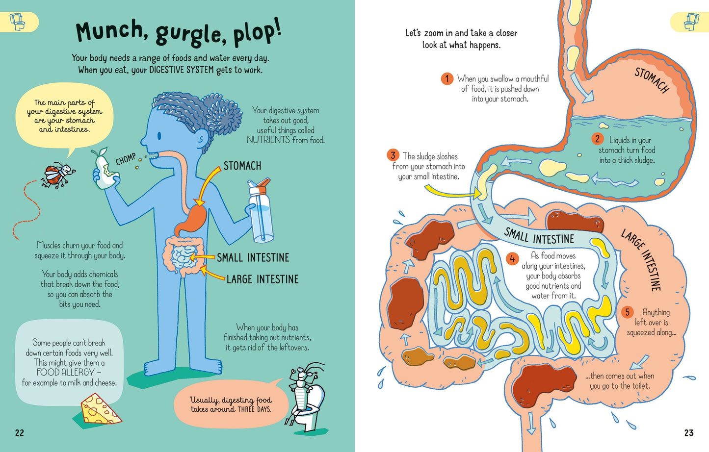 All You Need to Know about Your Body by Age 7