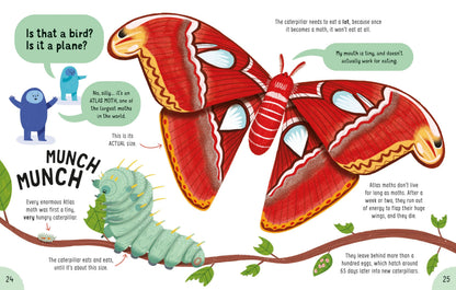 Lots of Things to Know About Bugs | 虫の不思議を英語で発見