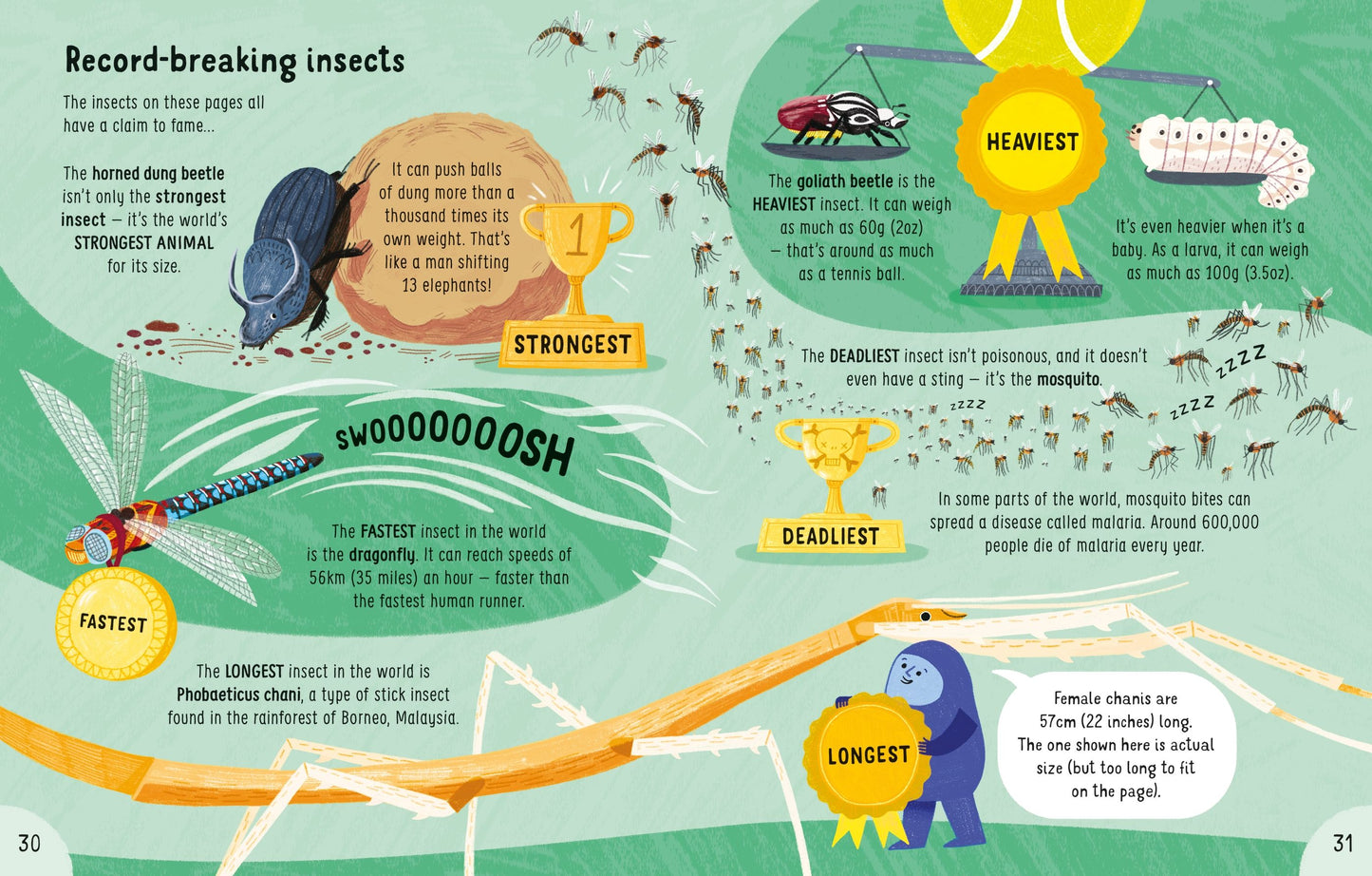 Lots of Things to Know About Bugs