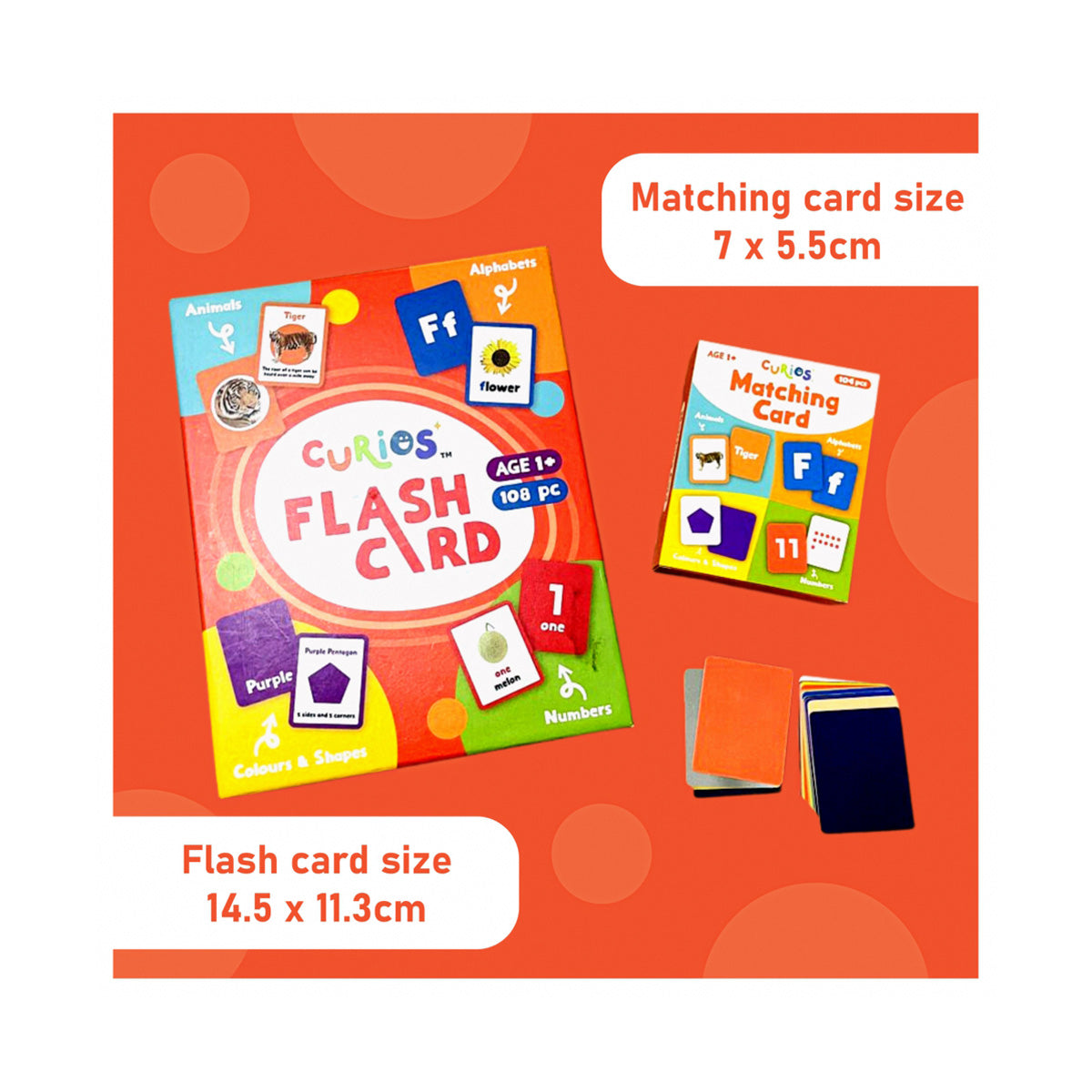 Curios® 英語マッチングカード Matching Card