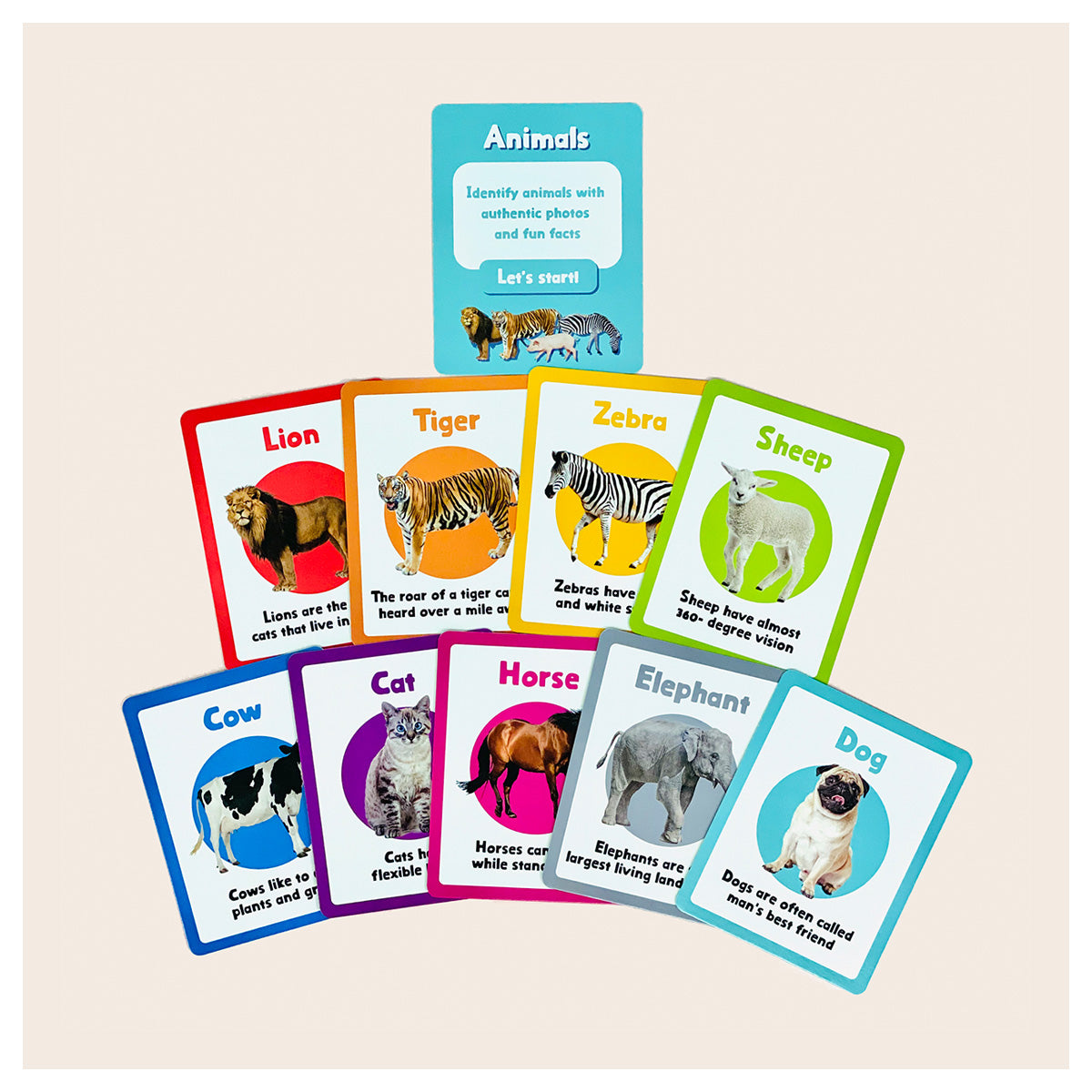 Curios® 英語フラッシュカード (108枚入り4箱1セット)  English Flashcard